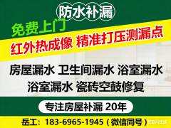 欢送致电进行手艺征询